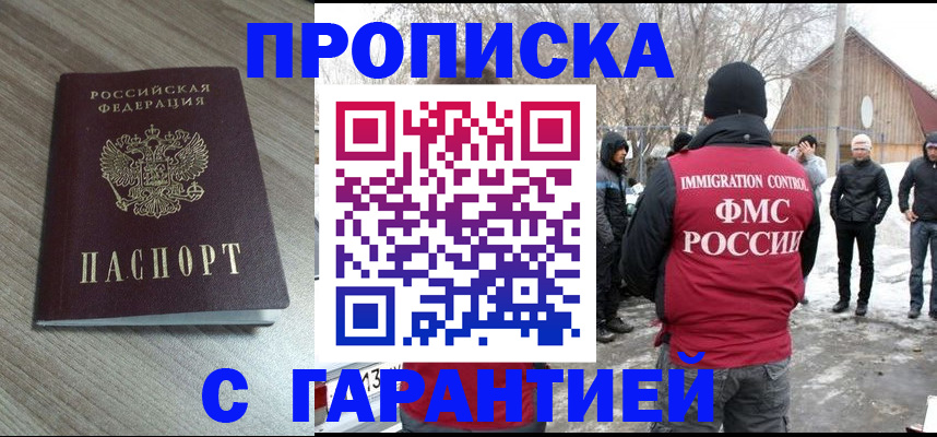 прописка 2025 в Щёкино